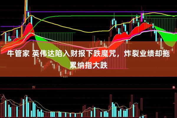 牛管家 英伟达陷入财报下跌魔咒，炸裂业绩却拖累纳指大跌