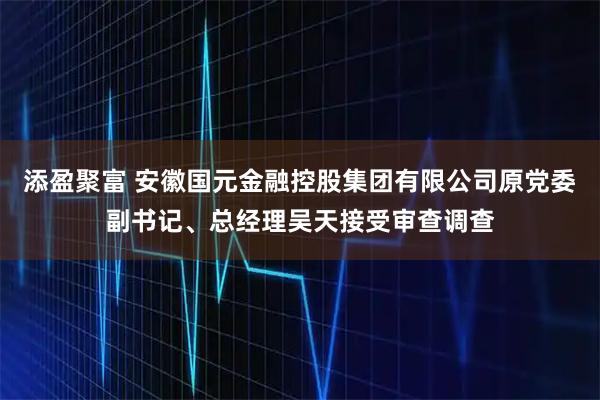 添盈聚富 安徽国元金融控股集团有限公司原党委副书记、总经理吴天接受审查调查